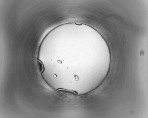 X0000093380912200711011247