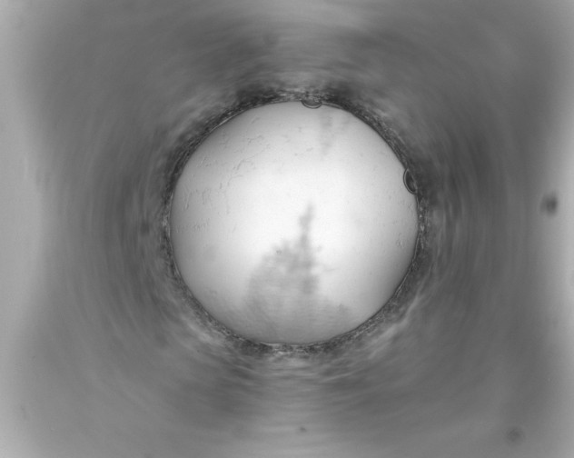 X0000093380913200711011246