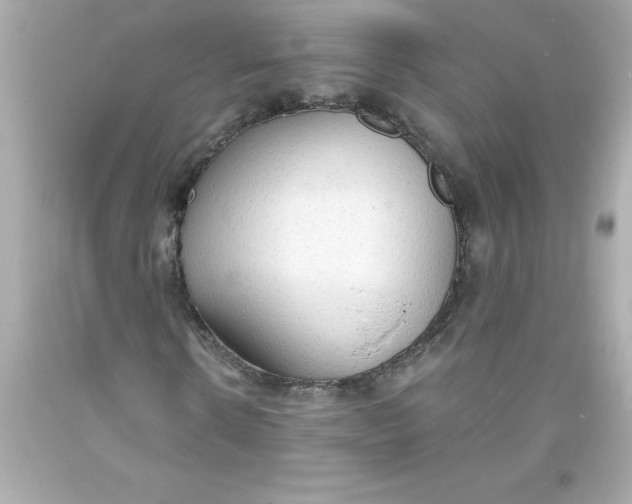 X0000093380914200711011246