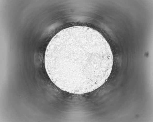 X0000093380918200711011247