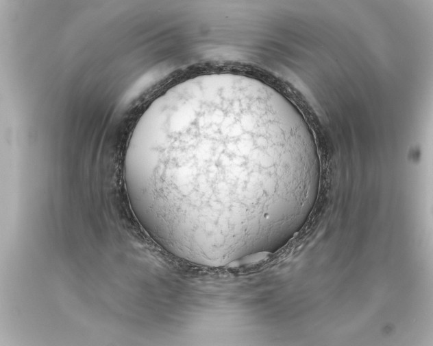 X0000093380919200711011247