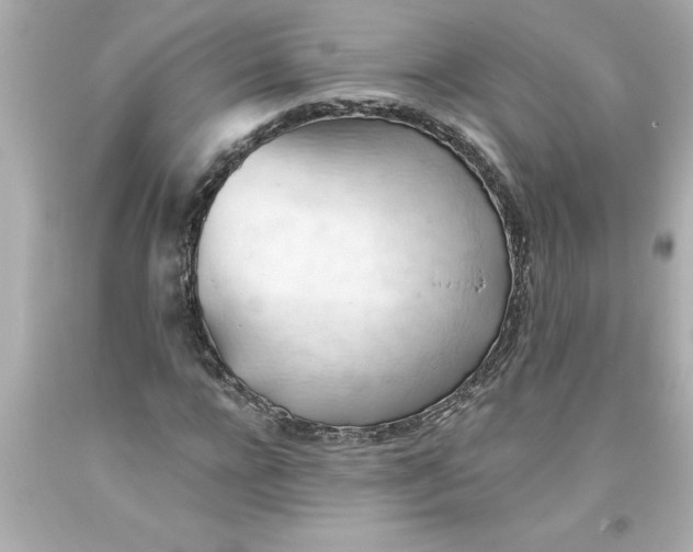 X0000093380920200711011247