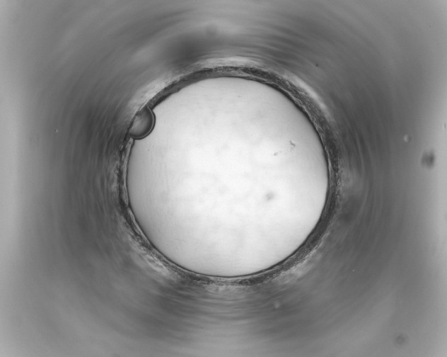 X0000093380921200711011247