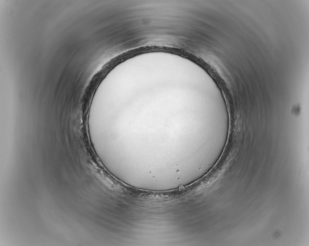 X0000093380923200711011247