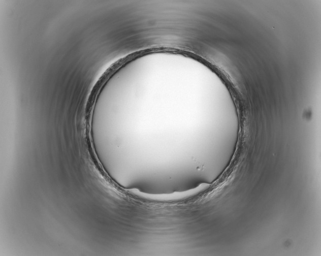 X0000093380924200711011247