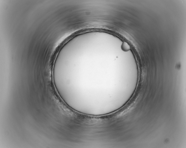 X0000093380925200711011247