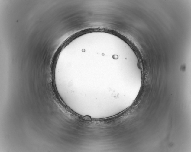 X0000093380927200711011247