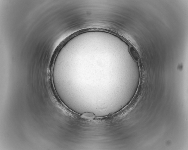 X0000093380928200711011247