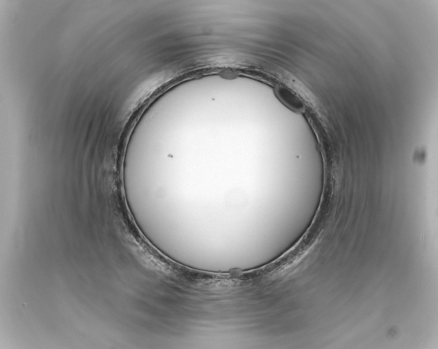 X0000093380930200711011247