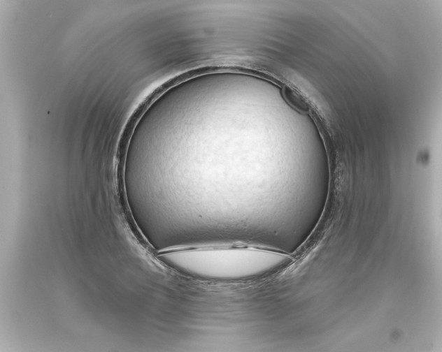 X0000093380932200711011247