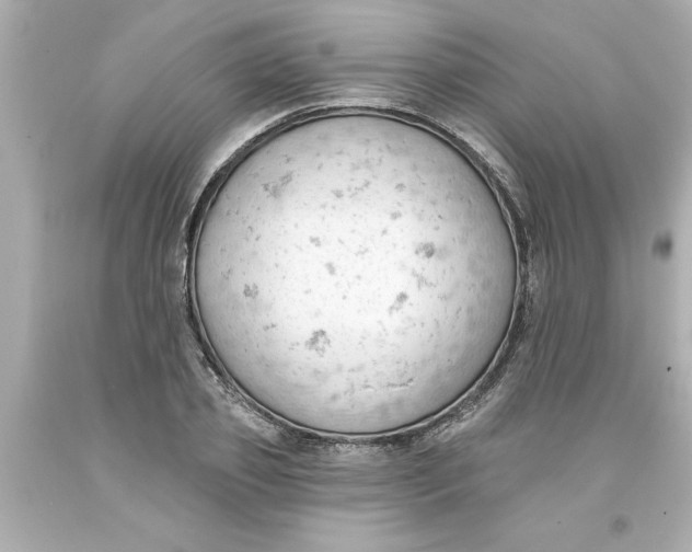 X0000093380933200711011247