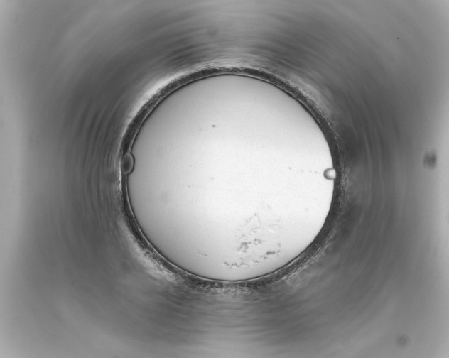 X0000093380934200711011247