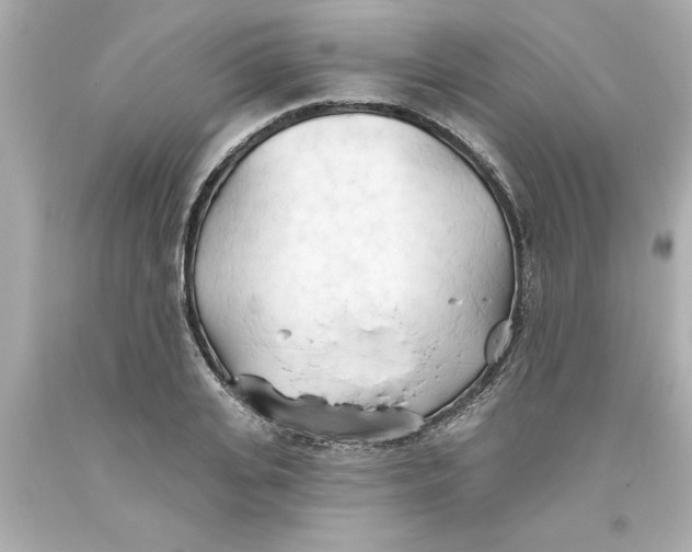 X0000093380935200711011247