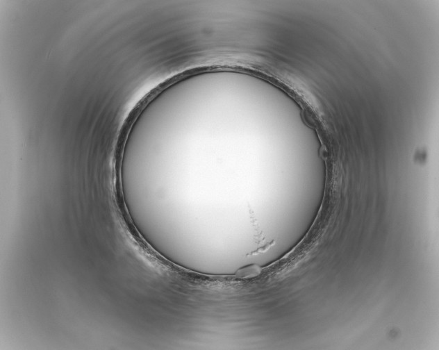 X0000093380936200711011247