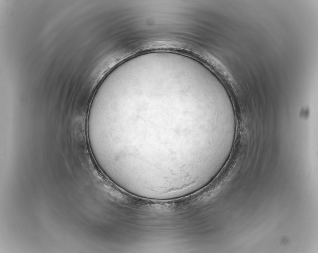 X0000093380937200711011247