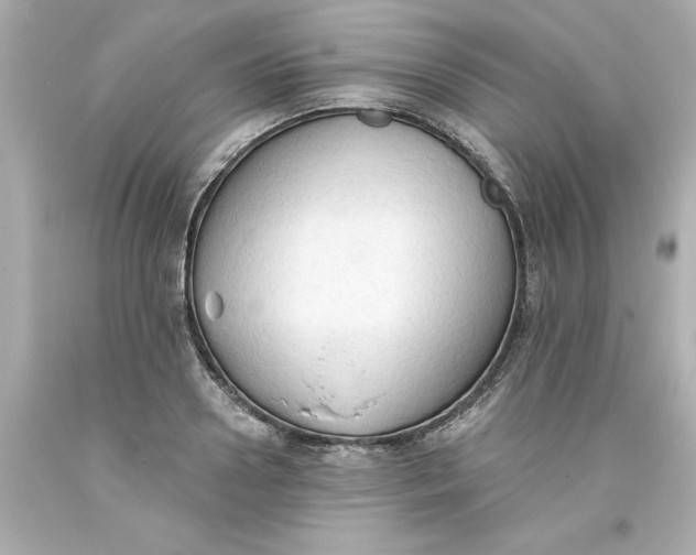 X0000093380938200711011247