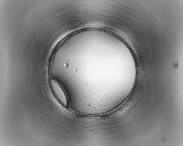 X0000093380939200711011247