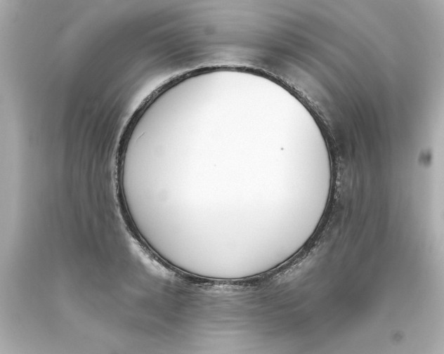 X0000093380942200711011247