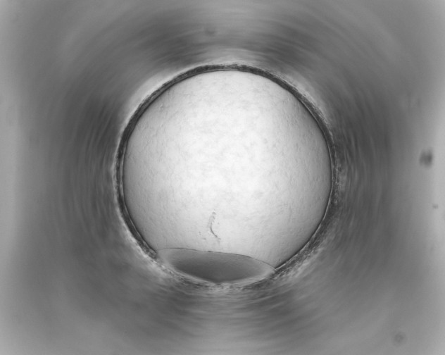 X0000093380943200711011247