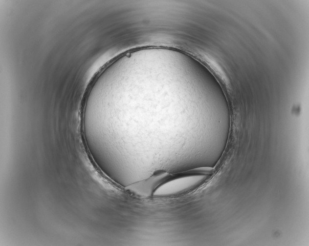 X0000093380944200711011247