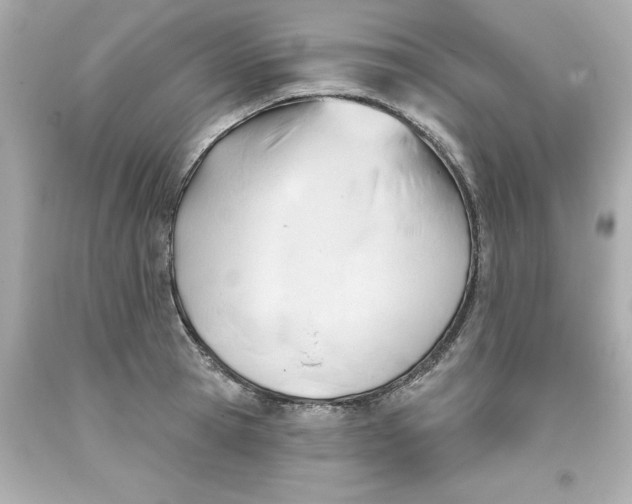 X0000093380945200711011247