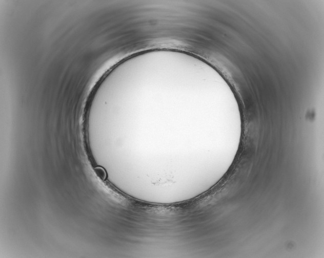 X0000093380947200711011247