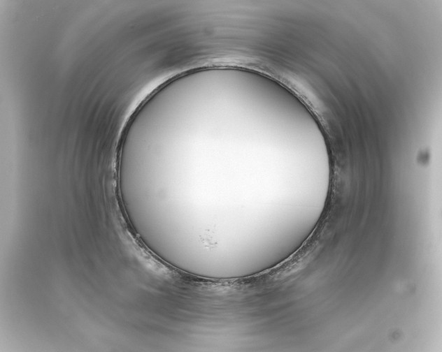 X0000093380948200711011247