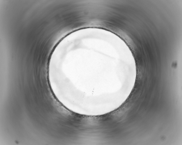 X0000093380950200711011247