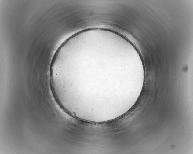 X0000093380951200711011247