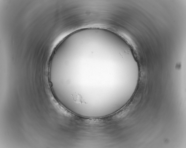 X0000093380952200711011247