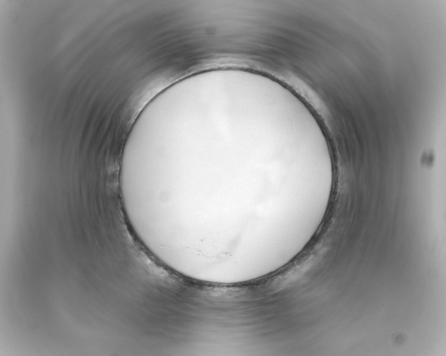 X0000093380953200711011247