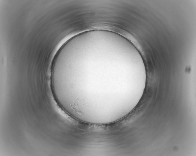 X0000093380955200711011247