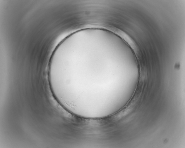 X0000093380958200711011247