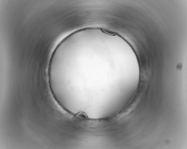 X0000093380959200711011247