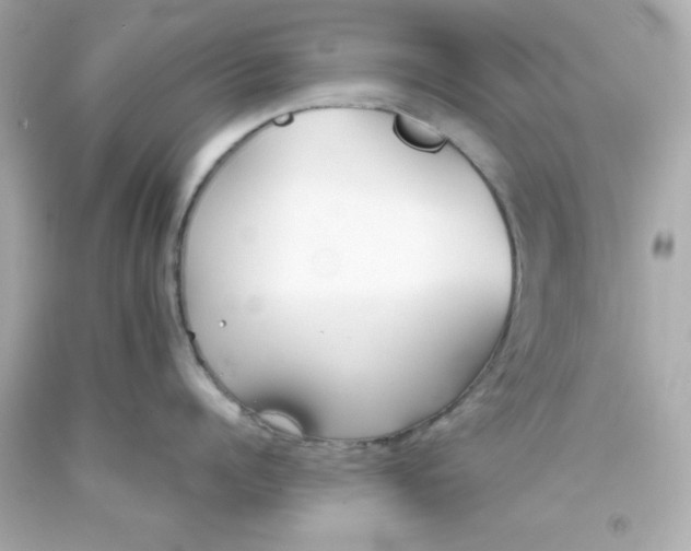 X0000093380960200711011247