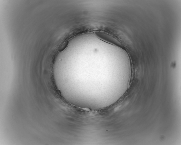 X0000093380961200711011246