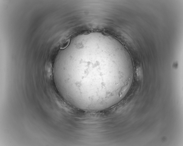 X0000093380963200711011246