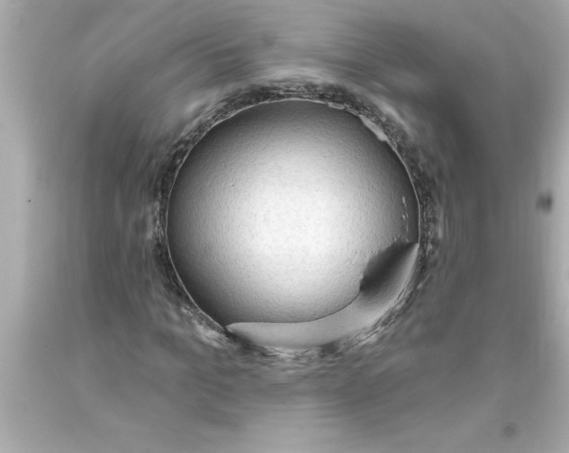 X0000093380965200711011246