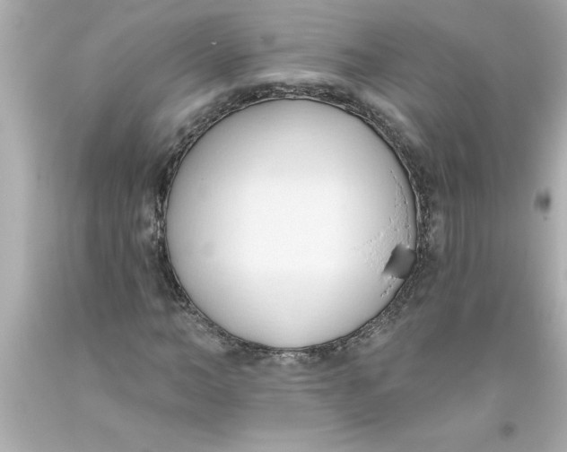 X0000093380966200711011246