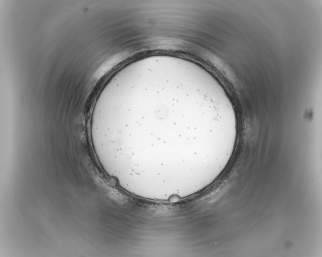 X0000093380970200711011246