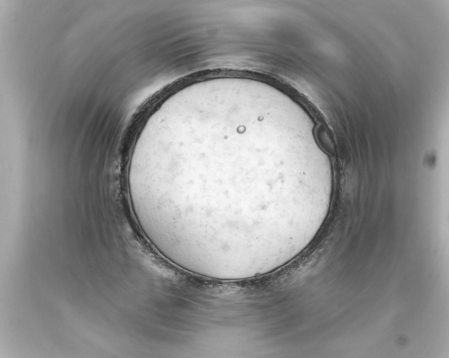 X0000093380971200711011246