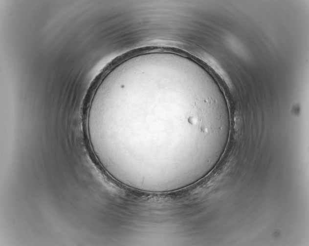 X0000093380972200711011246