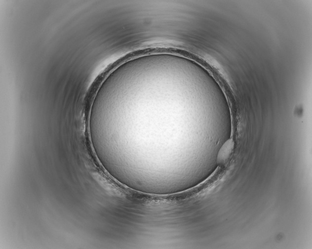 X0000093380973200711011246