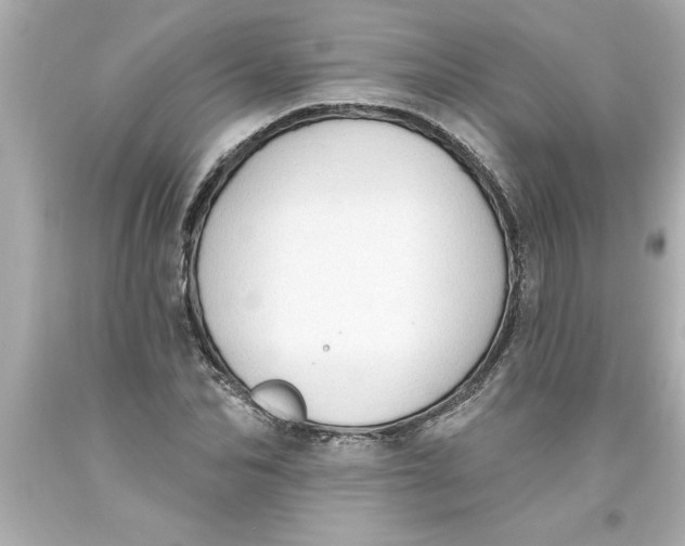 X0000093380974200711011246