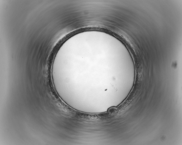 X0000093380975200711011246