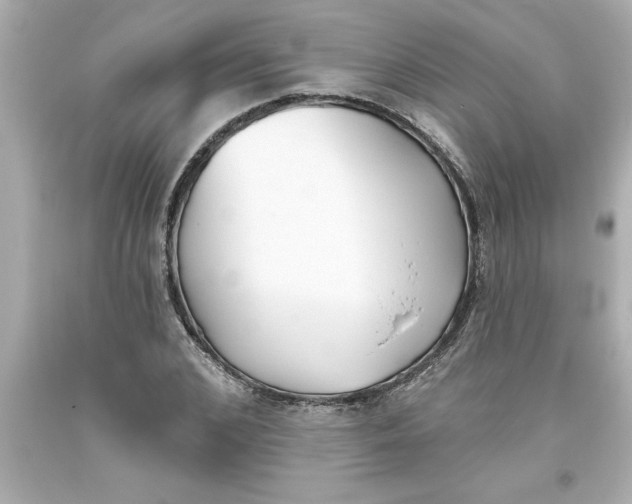 X0000093380976200711011246