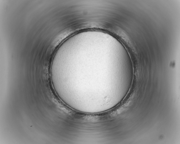 X0000093380977200711011246