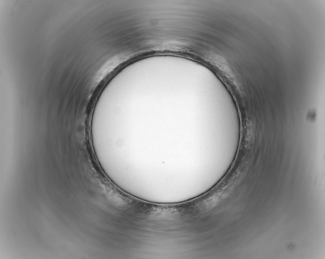 X0000093380978200711011246