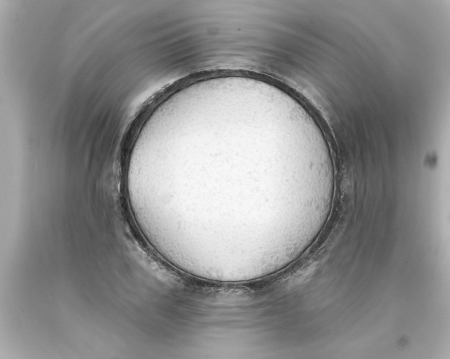 X0000093380979200711011246