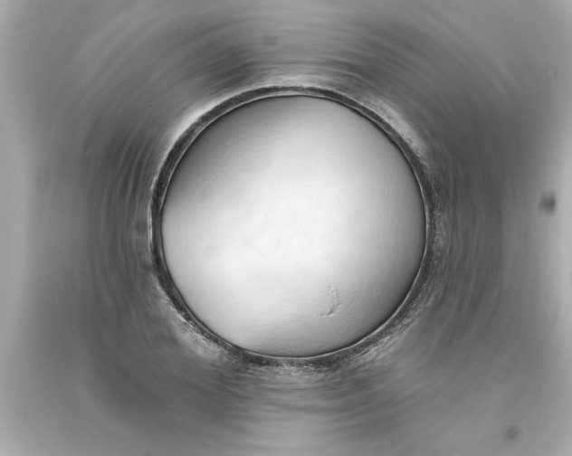 X0000093380980200711011246